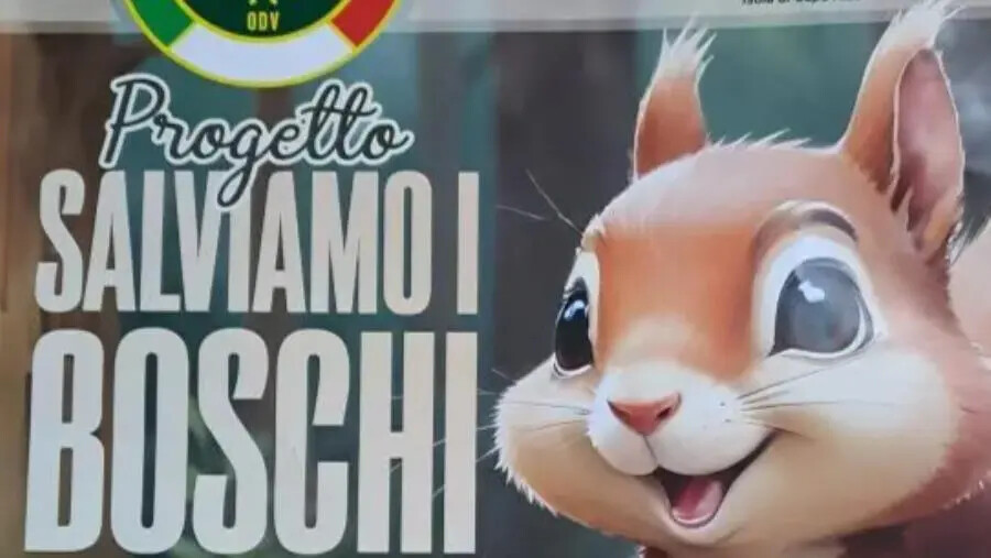 images "Salviamo i boschi": l'iniziativa dell'associazione Corpo Forestale Volontario di Isola Capo Rizzuto