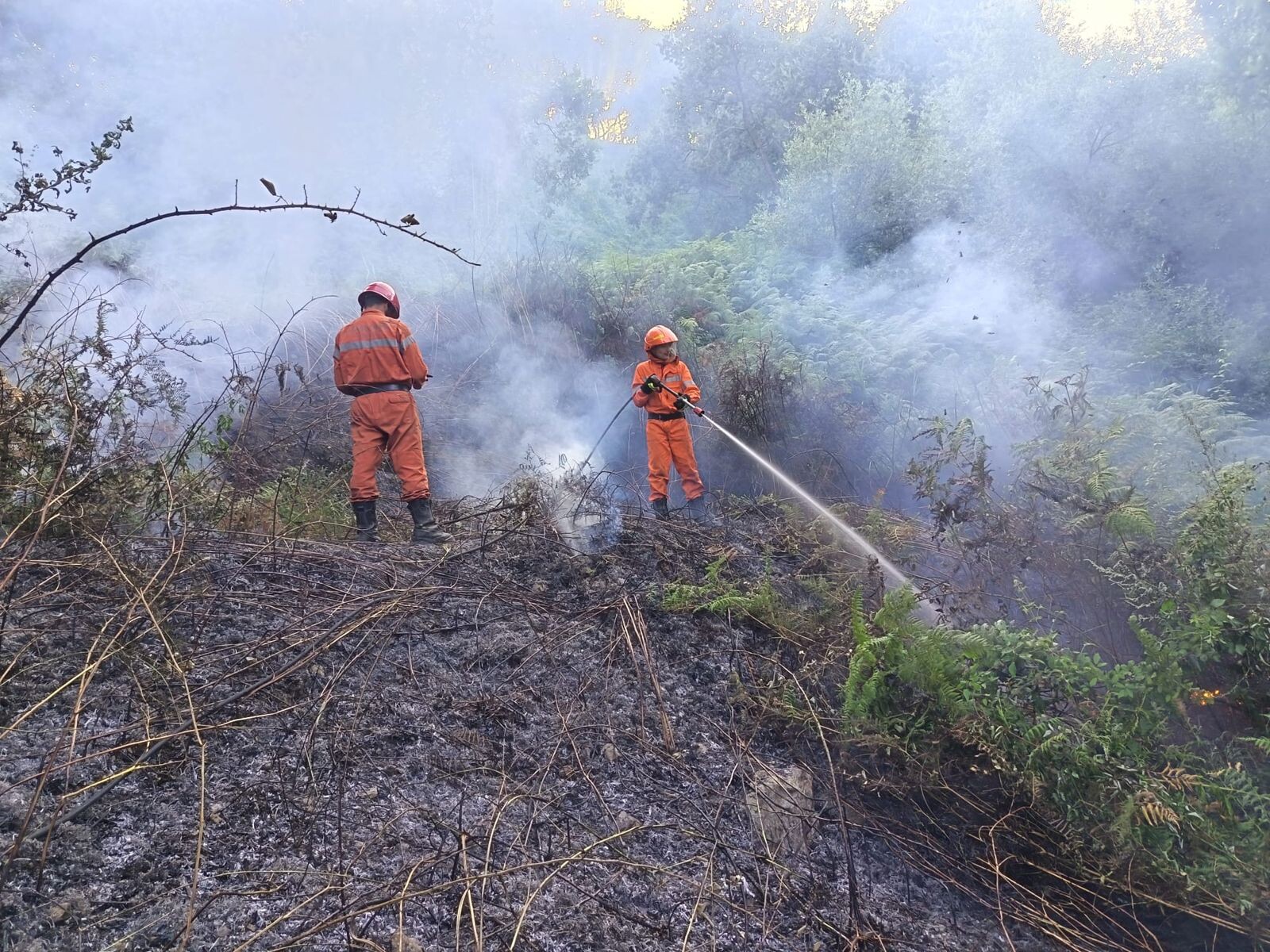 Vasto incendio di vegetazione in località Castaneto, nel comune di Tiriolo images Vasto incendio di vegetazione in località Castaneto, nel comune di Tiriolo