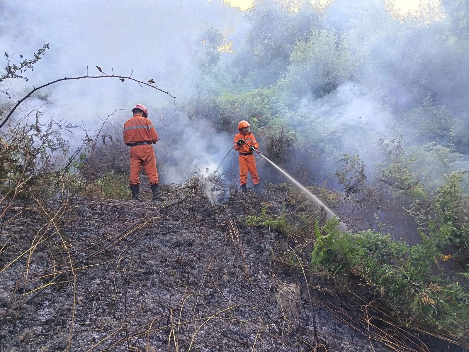 Vasto incendio di vegetazione in località Castaneto, nel comune di Tiriolo