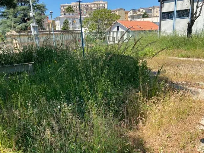 Centro Sociale "Vinicio Calió" a Pontepiccolo, la denuncia di Arci Catanzaro: "Aggiudicato da mesi ma non ancora consegnato" images Centro Sociale "Vinicio Calió" a Pontepiccolo, la denuncia di Arci Catanzaro: "Aggiudicato da mesi ma non ancora consegnato"