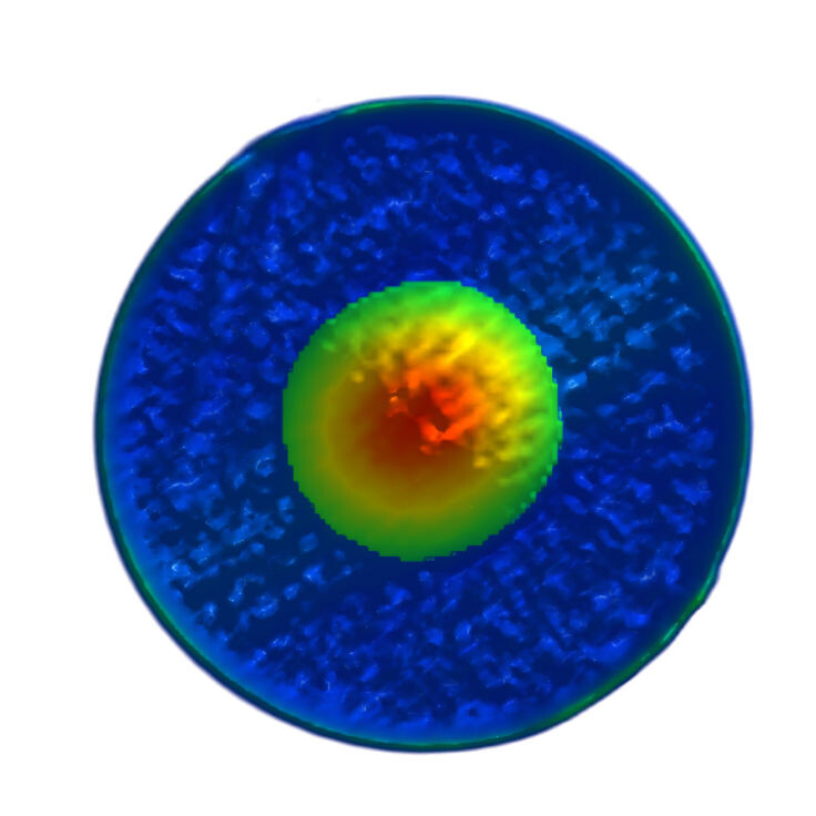 images Fibre ottiche più affidabili grazie a raggi X e IA: il metodo innovativo nella ricerca di Unical 