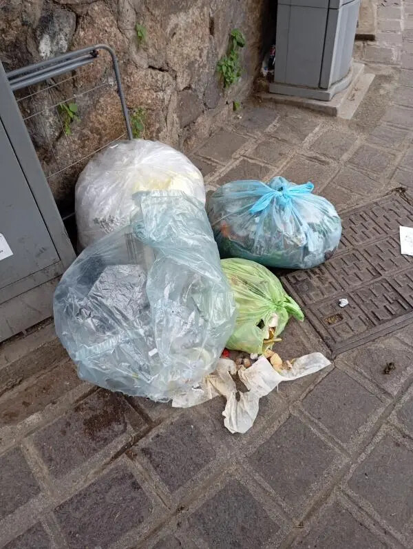 Silipo (CalabriaOltre) denuncia spazzatura per strada in via Indipendenza: “Far rispettare le regole” images Silipo (CalabriaOltre) denuncia spazzatura per strada in via Indipendenza: “Far rispettare le regole”