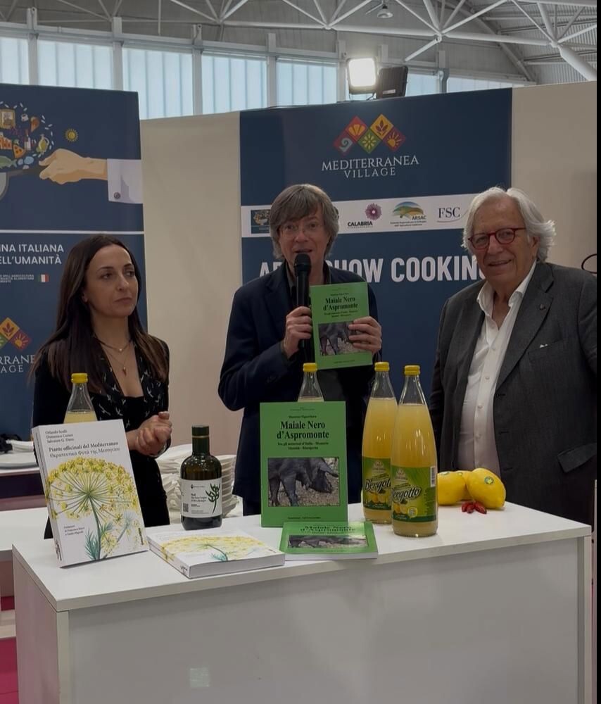 images Il GAL Terre Locridee al Mediterranea Village: identità, ricerca e sviluppo del territorio