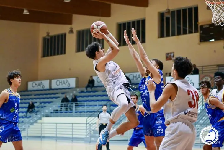 Basket U19, la capolista partenopea infrange il sogno dei giallorossi images Basket U19, la capolista partenopea infrange il sogno dei giallorossi