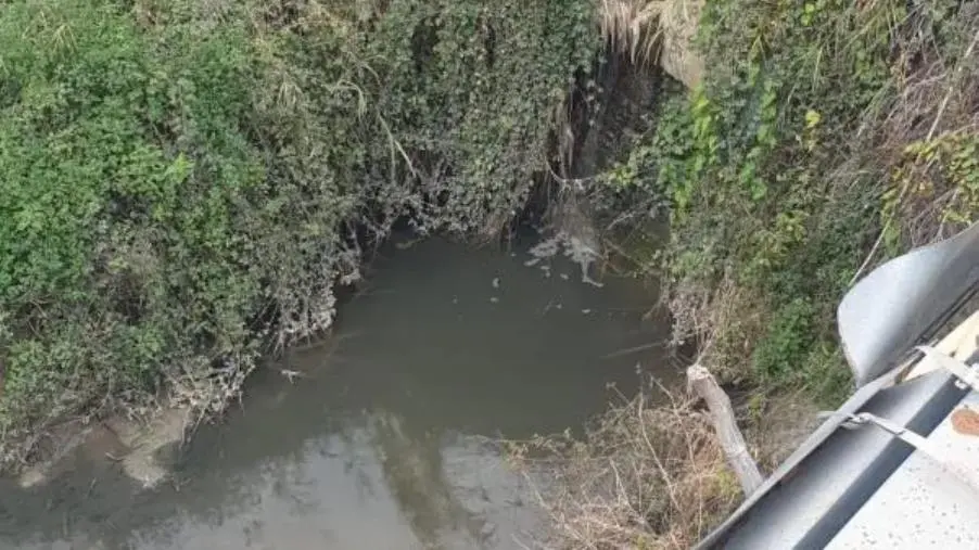 images Scarico abusivo Bellino-Giovino, Alleanza per Catanzaro: "Fiorita sa che l'estate è arrivata?"
