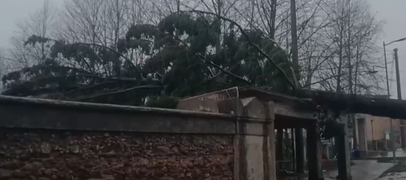 images Mareggiate, frane e alberi sdradicati: il maltempo flagella il Catanzarese (VIDEO)