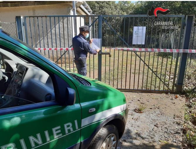 Motta Santa Lucia. Mancato smaltimento e scarico illecito fanghi e reflui fognari nel fiume Loreto: sequestrato il depuratore images Motta Santa Lucia. Mancato smaltimento e scarico illecito fanghi e reflui fognari nel fiume Loreto: sequestrato il depuratore