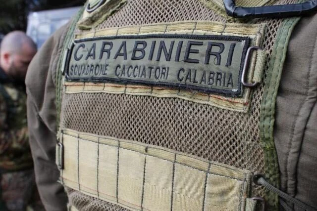 Bracconaggio, sequestrati ad un72enne del Vibonese fucili e munizioni 
