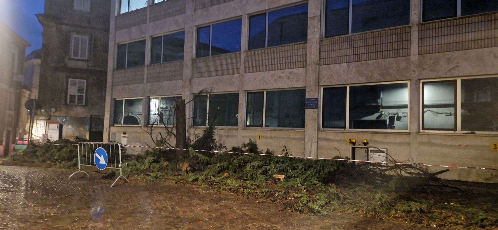 images Catanzaro, abbattuti dall'Amministrazione Provinciale tutti gli alberi di via Raffaelli 