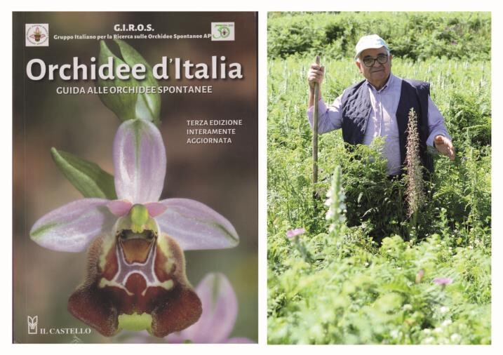 Lettera a Tito, nella Calabria ricca di orchidee spontanee Nazareno Circosta scopre una rara specie a Gasperina images Lettera a Tito, nella Calabria ricca di orchidee spontanee Nazareno Circosta scopre una rara specie a Gasperina