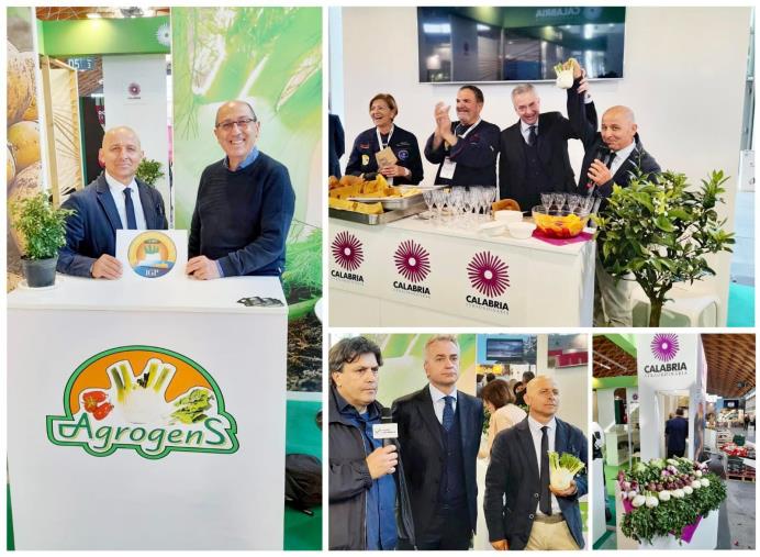 images Il Finocchio di Isola Capo Rizzuto diventa IGP, Vittimberga e Muto: "Una nuova pagina per la nostra agricoltura"