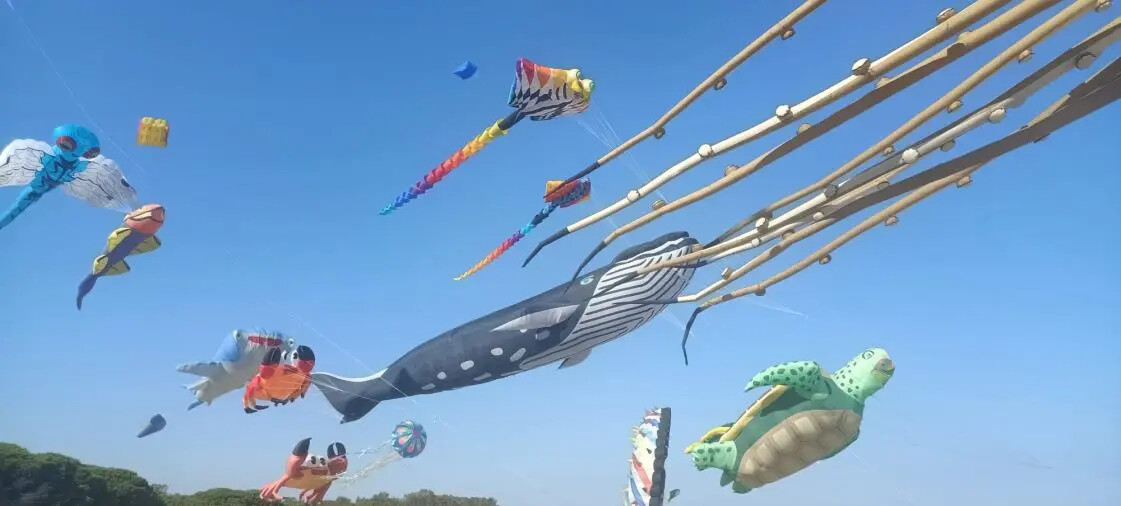 Catanzaro, la terza edizione del Festival degli aquiloni incanta Giovino: tripudio di colori nei cieli images Catanzaro, la terza edizione del Festival degli aquiloni incanta Giovino: tripudio di colori nei cieli