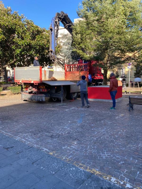 Catanzaro, smontato l’albero della discordia: il Comune ha atteso la Festa della Candelora images Catanzaro, smontato l’albero della discordia: il Comune ha atteso la Festa della Candelora