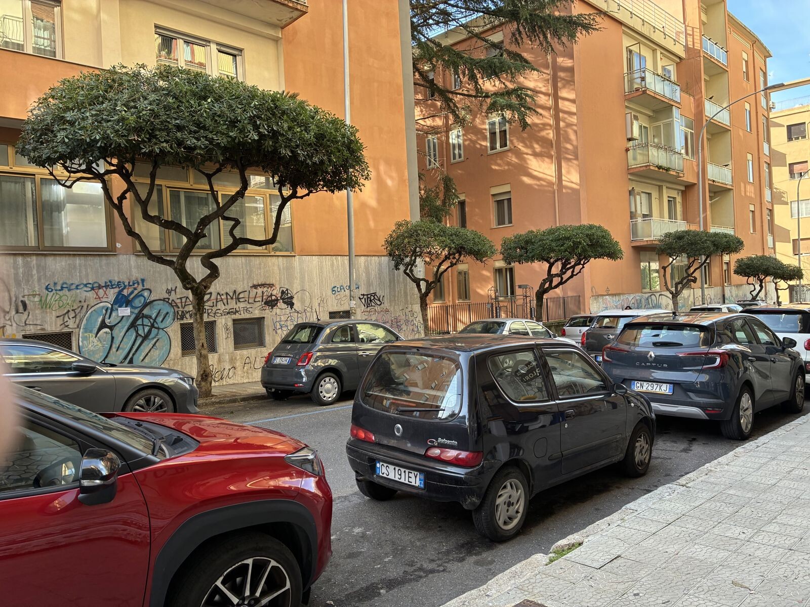 images Catanzaro, potati gli alberi in via Daniele: soddisfatti i residenti