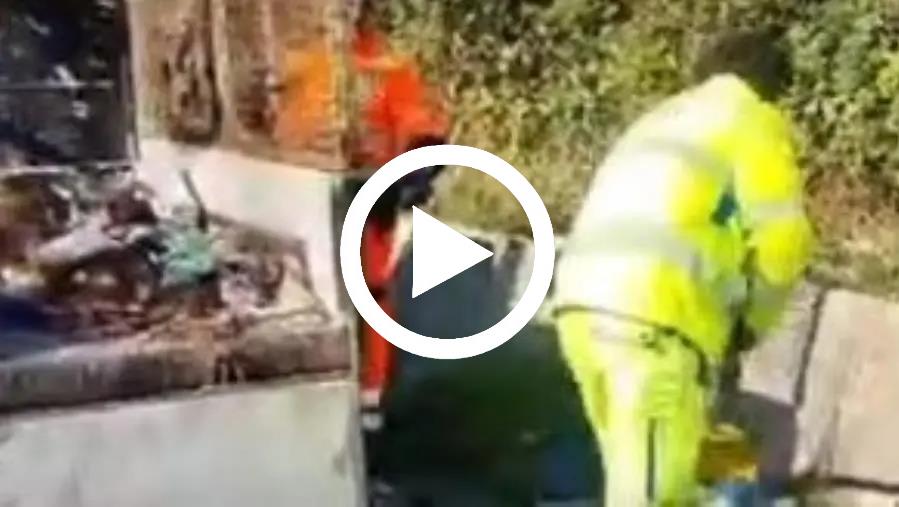 Anas e Comune di Chiaravalle impegnati nella lotta al degrado sulle strade di competenza images Anas e Comune di Chiaravalle impegnati nella lotta al degrado sulle strade di competenza