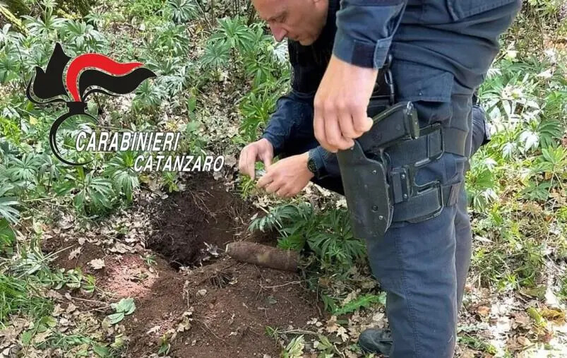 Maida, trovata nelle campagne una granata della seconda guerra mondiale
images Maida, trovata nelle campagne una granata della seconda guerra mondiale