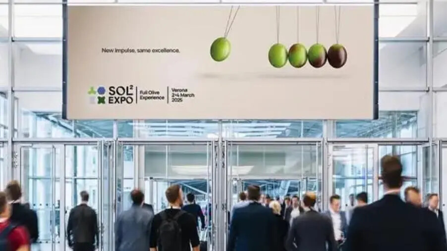 images Verona, al via il Salone Internazionale sugli oli di oliva: il programma del Consorzio Olio di Calabria IGP 