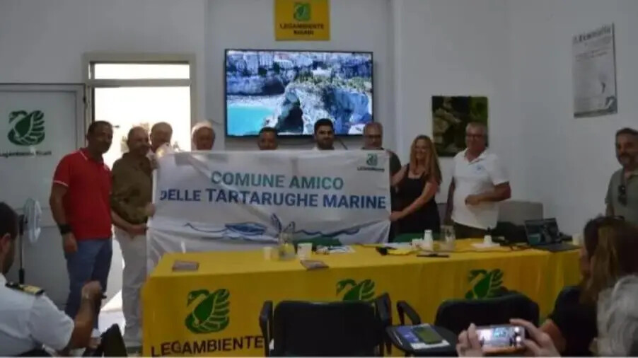 Legambiente consegna le bandiere “Amico delle tartarughe marine” ai Comuni calabresi images Legambiente consegna le bandiere “Amico delle tartarughe marine” ai Comuni calabresi