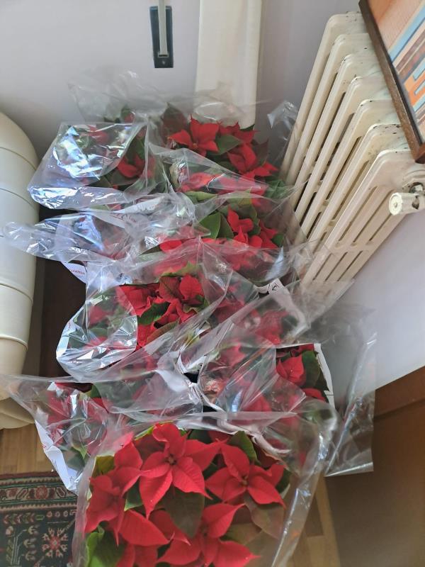 Stelle di Speranza: l’associazione “Universo Minori” dona vita e solidarietà alla casa circondariale di Crotone images Stelle di Speranza: l’associazione “Universo Minori” dona vita e solidarietà alla casa circondariale di Crotone