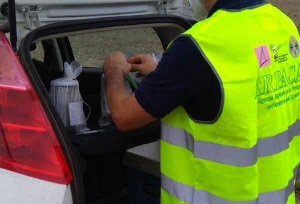 images Concorsi Arpacal, il Comitato Pa: "Iannone inadeguato, lo sfideremo fino in Cassazione ma poi dovrà dimettersi"