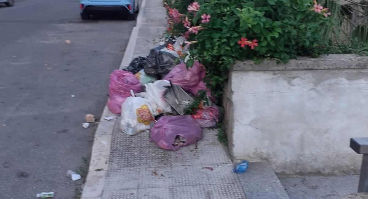 images Polizia locale di Catanzaro, tolleranza zero e sanzioni contro l'abbandono dei rifiuti