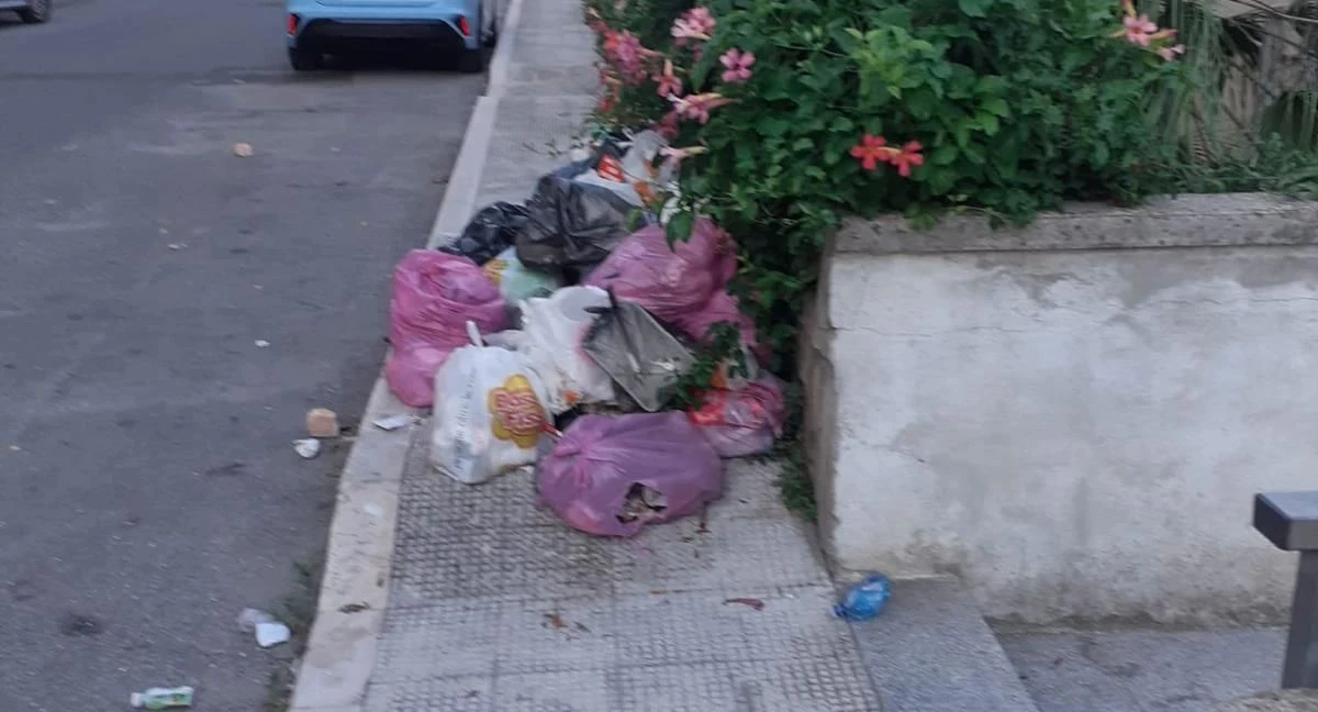 Polizia locale di Catanzaro, tolleranza zero e sanzioni contro l'abbandono dei rifiuti