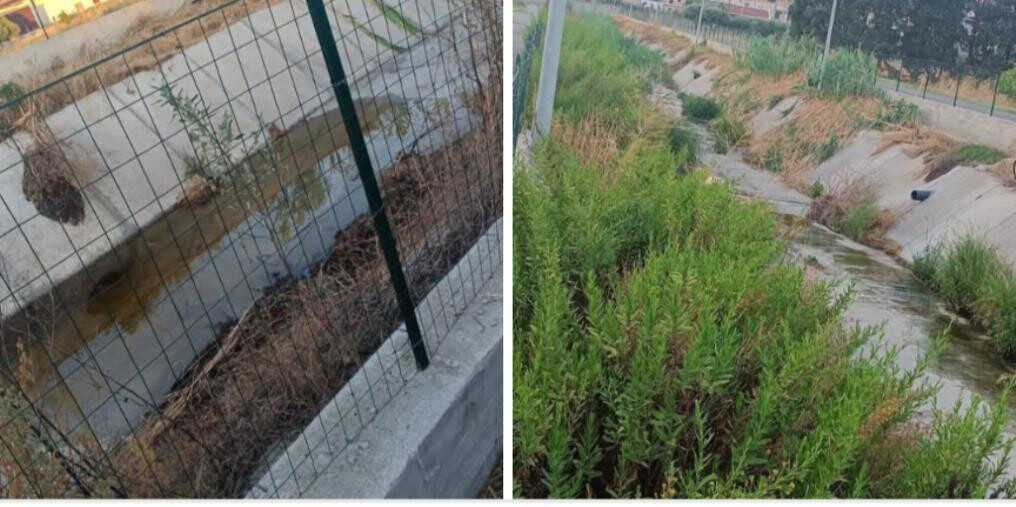 Virus West Nile, a Botricello l’opposizione chiede interventi di disinfestazione immediata images Virus West Nile, a Botricello l’opposizione chiede interventi di disinfestazione immediata