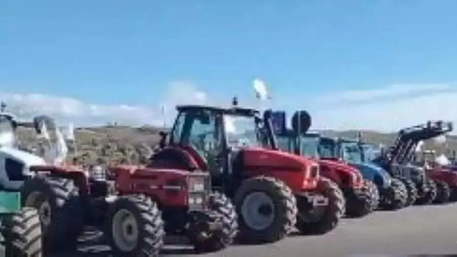 images Protesta dei trattori, in 100 per le strade di Castrovillari: stasera presidio a Lamezia Terme