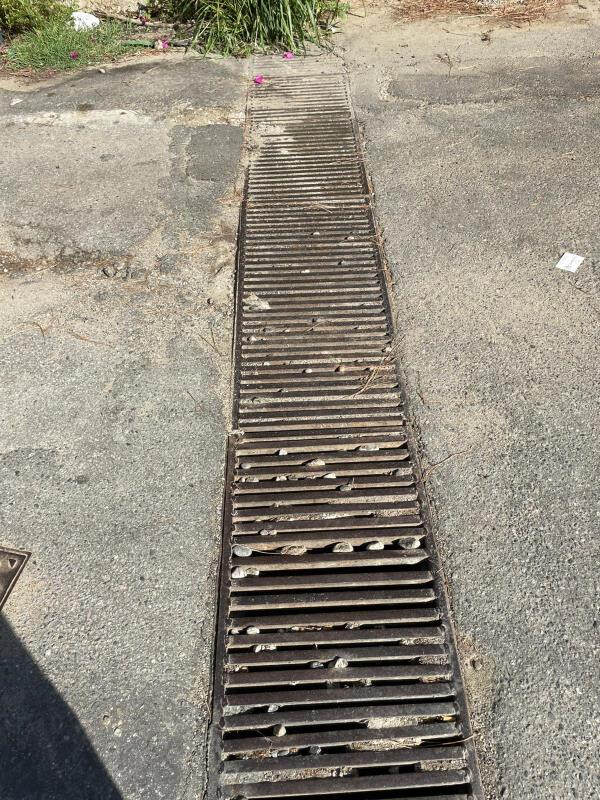 Catanzaro, Riccio sulla pulizia canali e griglia raccolta acque meteoriche: "Siamo all'anno zero" images Catanzaro, Riccio sulla pulizia canali e griglia raccolta acque meteoriche: "Siamo all'anno zero"