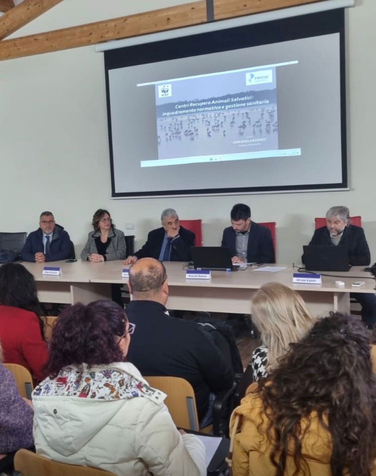 Title TMP-B01ZBDC3-1765660205389 images Title TMP-B01ZBDC3-1765660205389