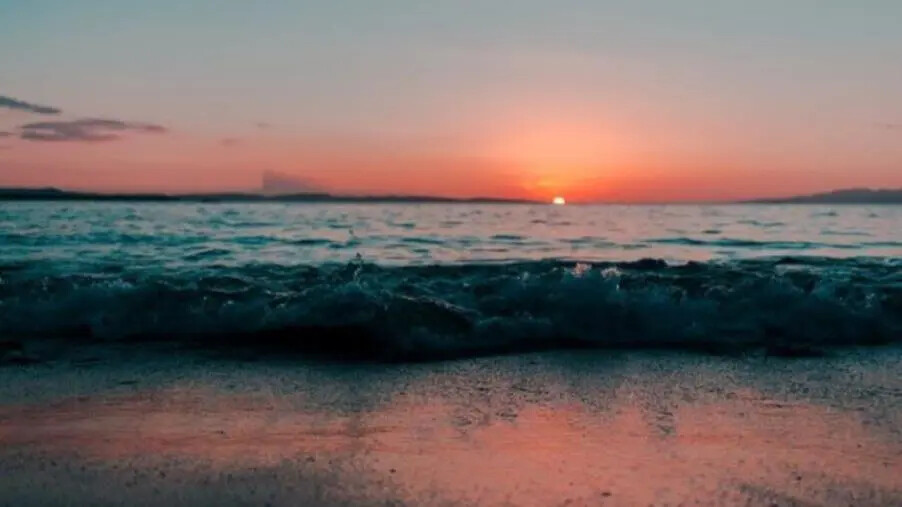 Blue Economy in Calabria, Errigo: "Va sostenuta, incentivata e favorita" images Blue Economy in Calabria, Errigo: "Va sostenuta, incentivata e favorita"