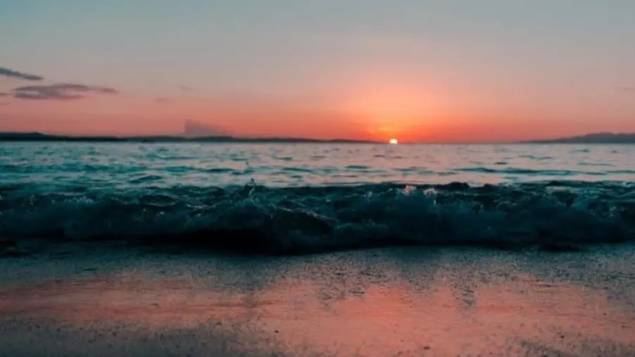 images Blue Economy in Calabria, Errigo: "Va sostenuta, incentivata e favorita"