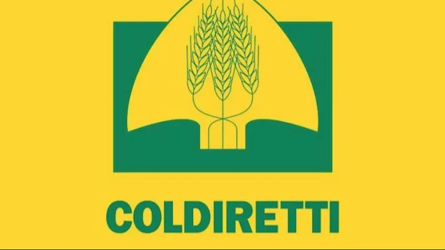 images Coldiretti Calabria, Aceto: "La stragrande maggioranza dei calabresi non vuole la riduzione dei fondi PAC"