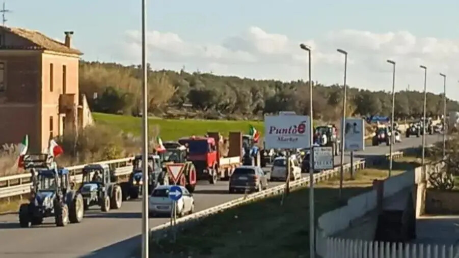 images Agricoltori in protesta a Crotone: "Noi stretti tra Ue e Usa"