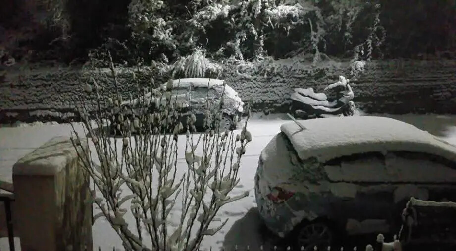 images Gelo e neve in Calabria, temperature sotto zero sulla Sila