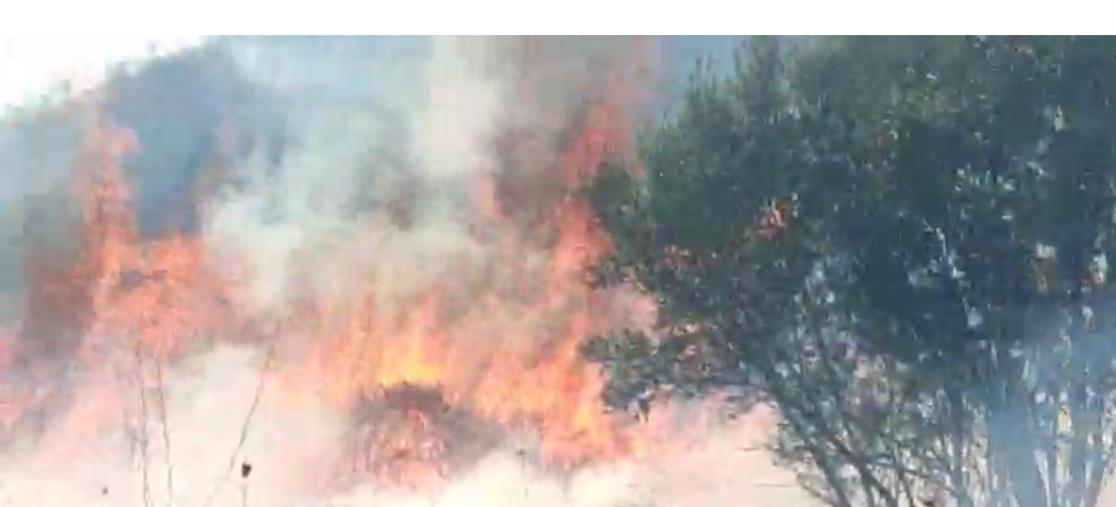 images Stalettí, fuoco e fiamme a Pietragrande: una catena umana evita danni alle case (VIDEO)