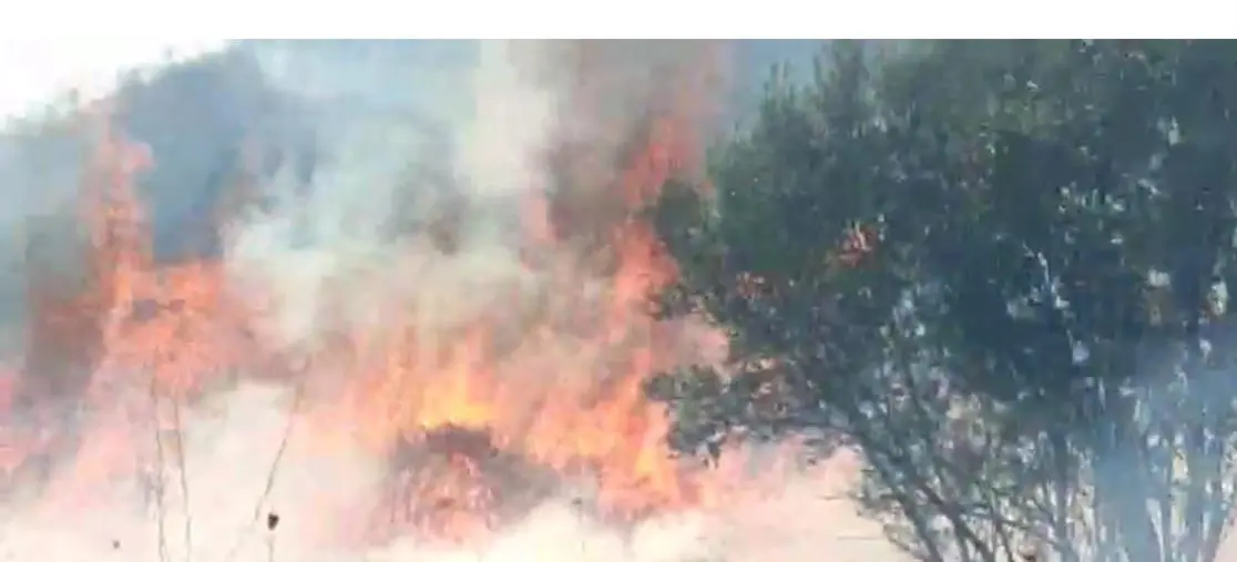 Stalettí, fuoco e fiamme a Pietragrande: una catena umana evita danni alle case (VIDEO) images Stalettí, fuoco e fiamme a Pietragrande: una catena umana evita danni alle case (VIDEO)