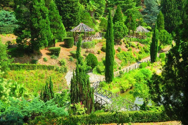 Catanzaro, al via il patto di collaborazione per la Pineta di Siano: accolta la proposta dell’A.S.D. Swattati Team 