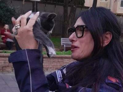 Catanzaro, gattino intrappolato nel motore di un auto salvato da un agente della Polizia municipale
