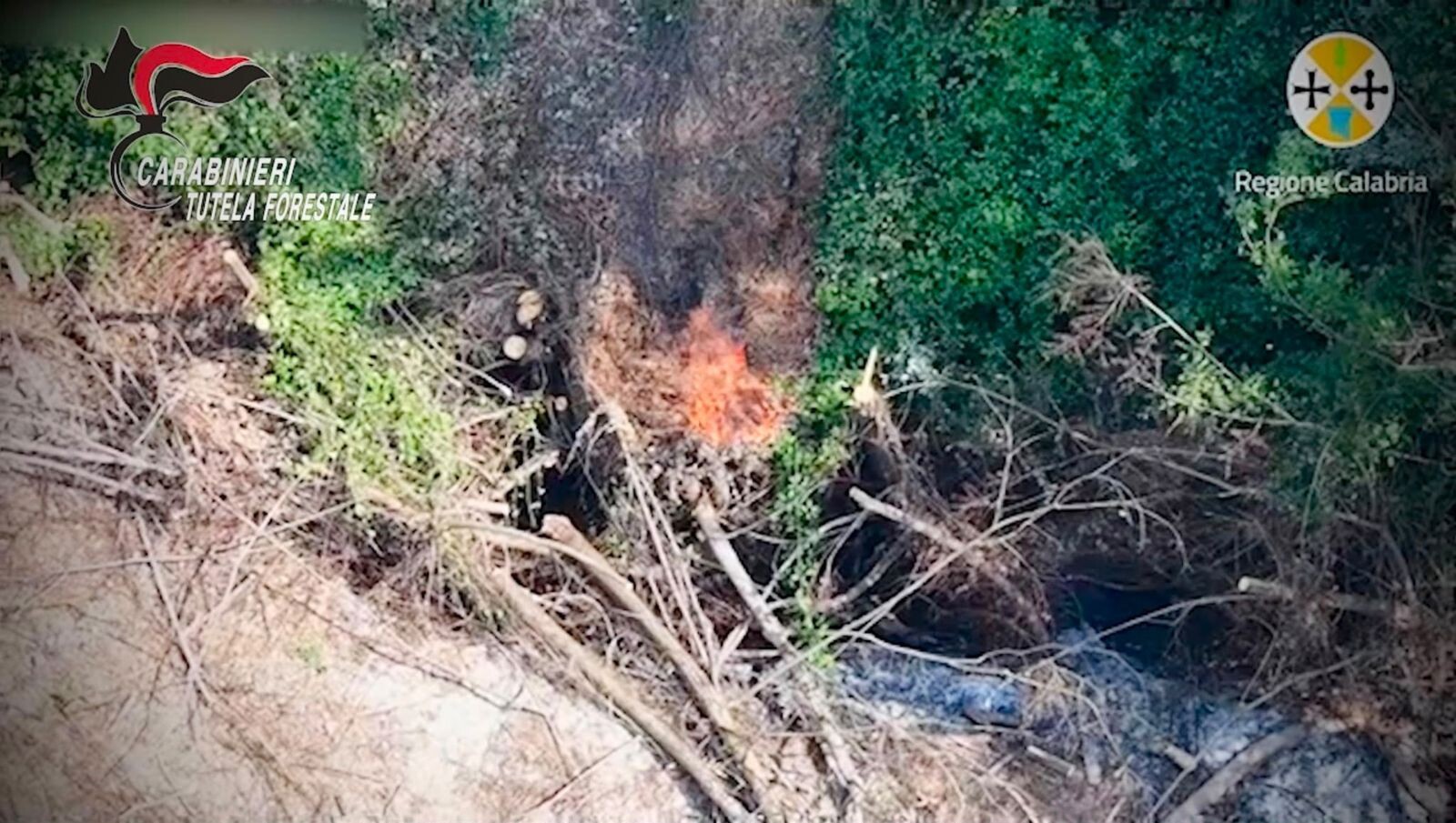 images Appicca il fuoco indisturbato ma viene ripreso da un drone della Regione: un arresto nel Vibonese