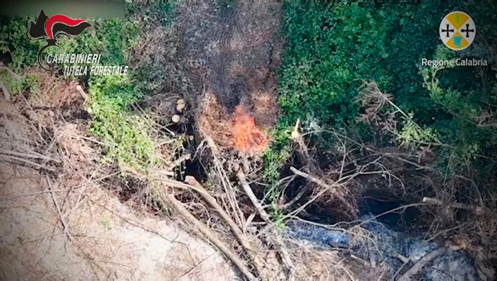 Appicca il fuoco indisturbato ma viene ripreso da un drone della Regione: un arresto nel Vibonese