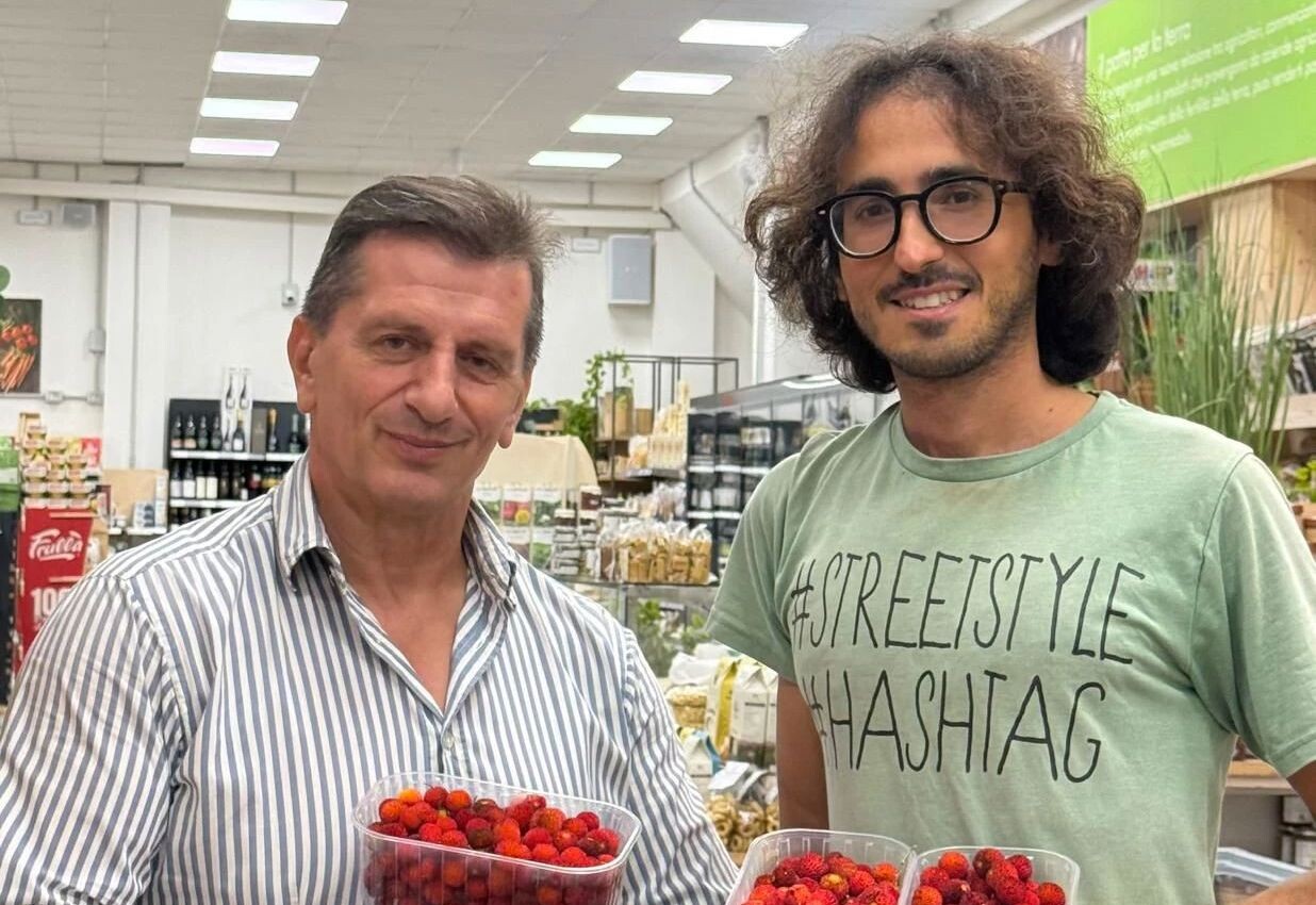 images Montepaone, il giusto prezzo della terra: dai corbezzoli di Galati una lezione di filiera