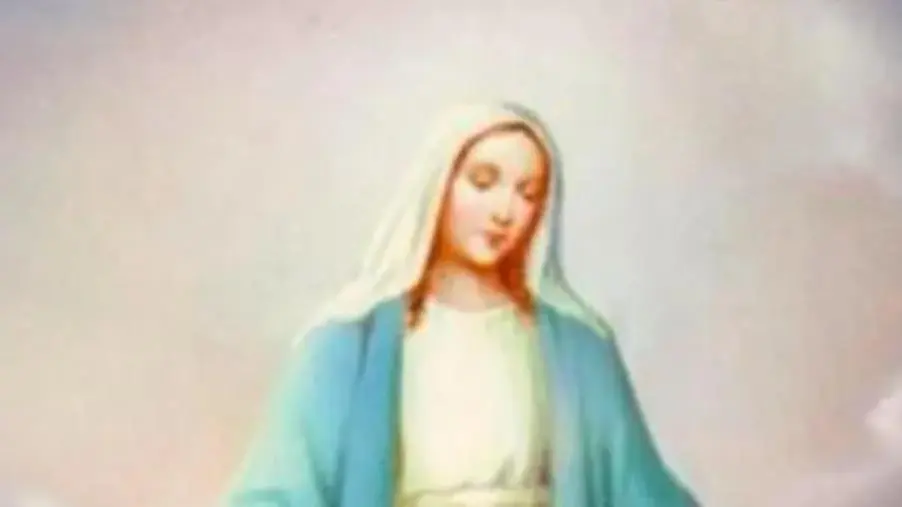 images Il pellegrinaggio della statua della Vergine della Medaglia Miracolosa arriva ad Accaria