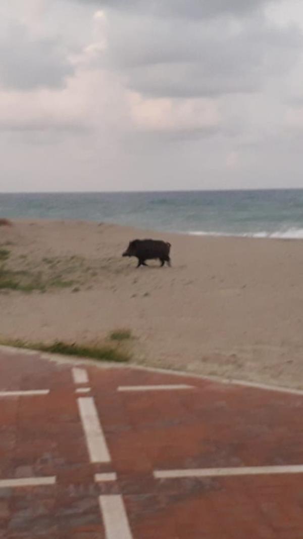 Non si può pensare di smembrare il Campus per esigenze che nulla hanno a che vedere con la cultura... images Non si può pensare di smembrare il Campus per esigenze che nulla hanno a che vedere con la cultura...