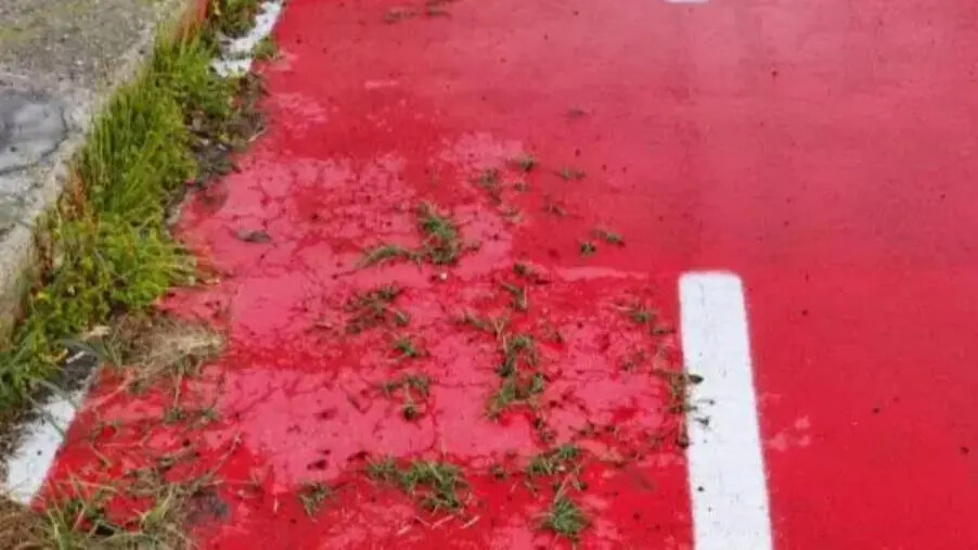 Catanzaro, Riccio e Costa: "Sulla pista ciclabile del Corvo cresce l'erba?" images Catanzaro, Riccio e Costa: "Sulla pista ciclabile del Corvo cresce l'erba?"