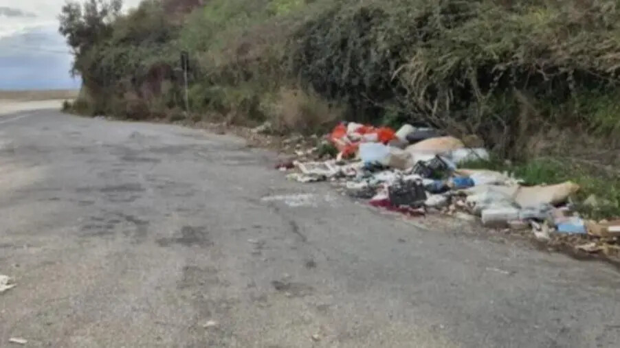 Catanzaro, residenti di Gagliano esasperati dalla discarica di rifiuti lungo via Smaldone images Catanzaro, residenti di Gagliano esasperati dalla discarica di rifiuti lungo via Smaldone