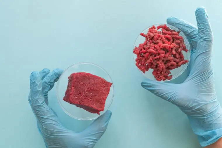 Carne coltivata, Coldiretti chiede una consultazione pubblica per lo stop all'introduzione images Carne coltivata, Coldiretti chiede una consultazione pubblica per lo stop all'introduzione