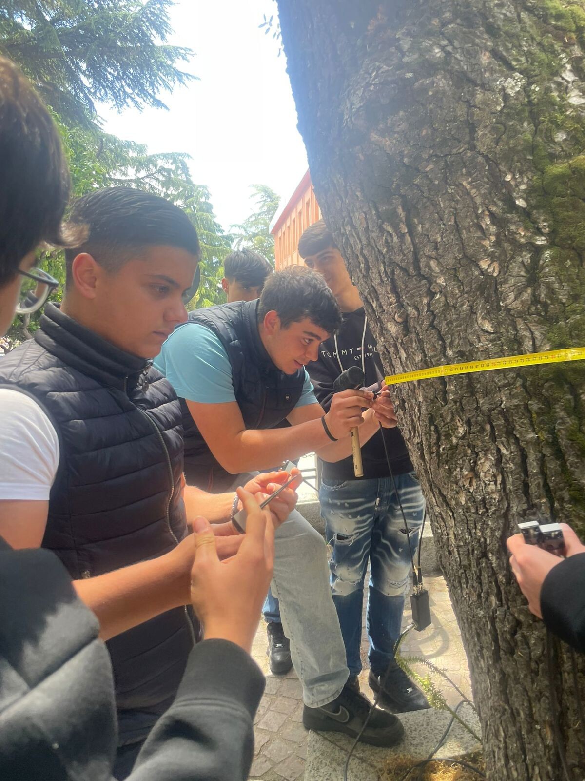 images Catanzaro investe sul verde urbano: studenti e ricercatori insieme nel terzo appuntamento del progetto “Tree Lab” 