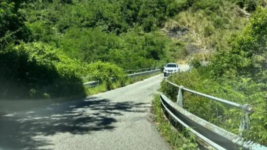 images Fagnano Castello, il circolo locale del Pd sollecita il miglioramento della Sp 270 nel viadotto di Fuorilardo 