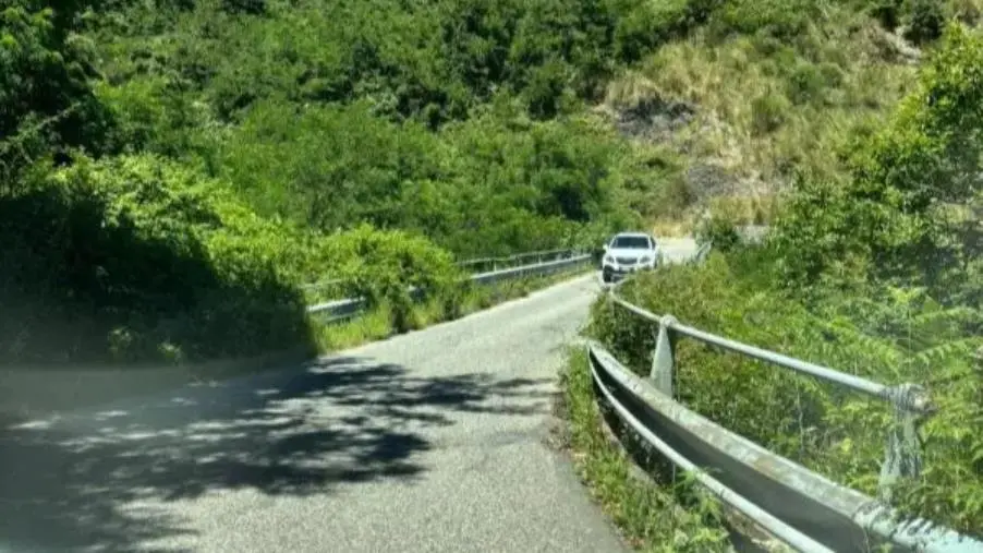 Fagnano Castello, il circolo locale del Pd sollecita il miglioramento della Sp 270 nel viadotto di Fuorilardo  images Fagnano Castello, il circolo locale del Pd sollecita il miglioramento della Sp 270 nel viadotto di Fuorilardo